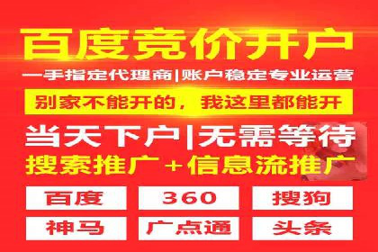 专业SEM托管助力企业快速成长案例分析